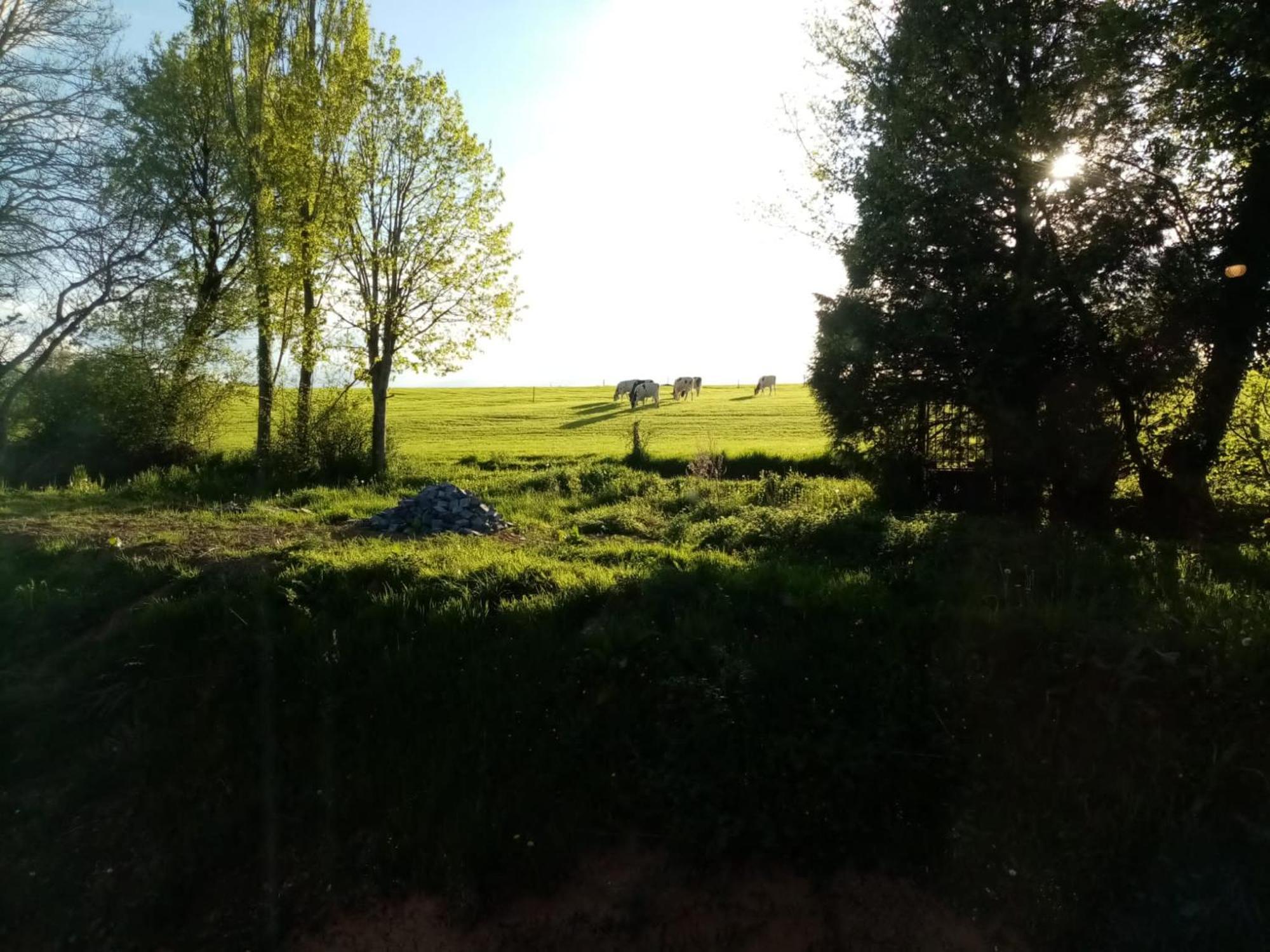 Feel At Home In Warre, Durbuy Exterior photo